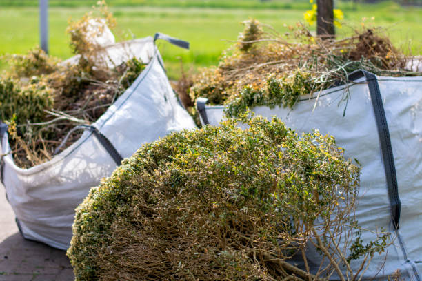 Trusted Indian Hills, CO Junk Removal Experts